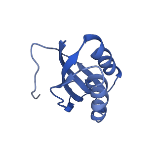 25418_7st2_K_v1-0
Post translocation, non-rotated 70S ribosome with EF-G dissociated (Structure VII)
