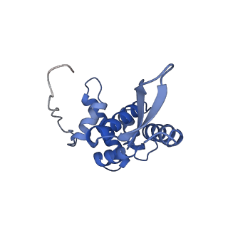 25418_7st2_L_v1-0
Post translocation, non-rotated 70S ribosome with EF-G dissociated (Structure VII)