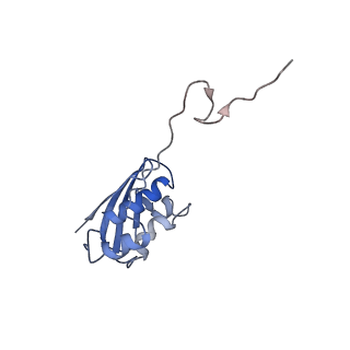 25418_7st2_N_v1-0
Post translocation, non-rotated 70S ribosome with EF-G dissociated (Structure VII)