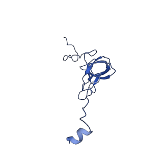 25418_7st2_Q_v1-0
Post translocation, non-rotated 70S ribosome with EF-G dissociated (Structure VII)
