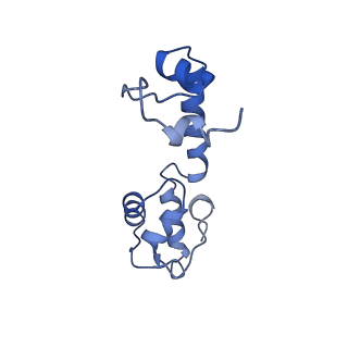 25418_7st2_R_v1-0
Post translocation, non-rotated 70S ribosome with EF-G dissociated (Structure VII)