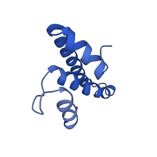 25418_7st2_T_v1-0
Post translocation, non-rotated 70S ribosome with EF-G dissociated (Structure VII)