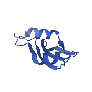 25418_7st2_U_v1-0
Post translocation, non-rotated 70S ribosome with EF-G dissociated (Structure VII)