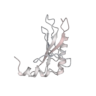 25418_7st2_a_v1-0
Post translocation, non-rotated 70S ribosome with EF-G dissociated (Structure VII)