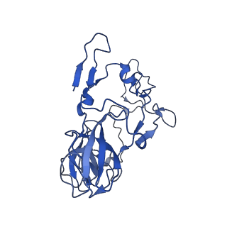 25418_7st2_b_v1-0
Post translocation, non-rotated 70S ribosome with EF-G dissociated (Structure VII)