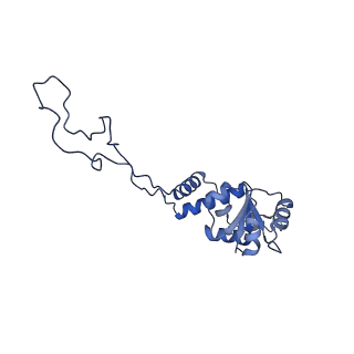 25418_7st2_d_v1-0
Post translocation, non-rotated 70S ribosome with EF-G dissociated (Structure VII)