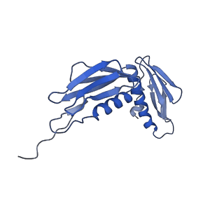 25418_7st2_f_v1-0
Post translocation, non-rotated 70S ribosome with EF-G dissociated (Structure VII)