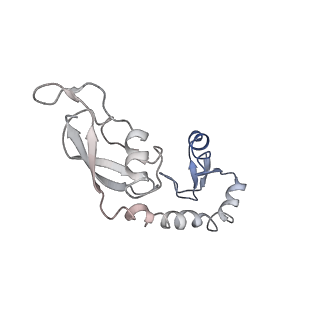 25418_7st2_g_v1-0
Post translocation, non-rotated 70S ribosome with EF-G dissociated (Structure VII)