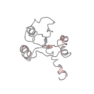 25418_7st2_h_v1-0
Post translocation, non-rotated 70S ribosome with EF-G dissociated (Structure VII)