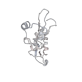 25418_7st2_i_v1-0
Post translocation, non-rotated 70S ribosome with EF-G dissociated (Structure VII)