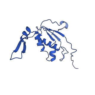 25418_7st2_j_v1-0
Post translocation, non-rotated 70S ribosome with EF-G dissociated (Structure VII)
