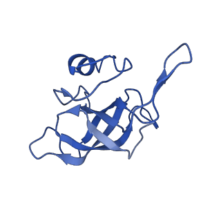 25418_7st2_k_v1-0
Post translocation, non-rotated 70S ribosome with EF-G dissociated (Structure VII)