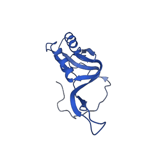 25418_7st2_m_v1-0
Post translocation, non-rotated 70S ribosome with EF-G dissociated (Structure VII)