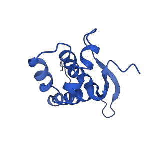 25418_7st2_n_v1-0
Post translocation, non-rotated 70S ribosome with EF-G dissociated (Structure VII)