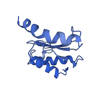 25418_7st2_o_v1-0
Post translocation, non-rotated 70S ribosome with EF-G dissociated (Structure VII)