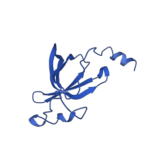 25418_7st2_p_v1-0
Post translocation, non-rotated 70S ribosome with EF-G dissociated (Structure VII)