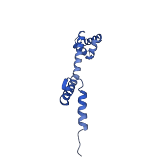 25418_7st2_q_v1-0
Post translocation, non-rotated 70S ribosome with EF-G dissociated (Structure VII)
