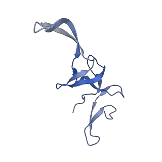 25418_7st2_u_v1-0
Post translocation, non-rotated 70S ribosome with EF-G dissociated (Structure VII)