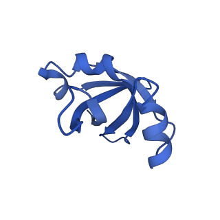 25418_7st2_v_v1-0
Post translocation, non-rotated 70S ribosome with EF-G dissociated (Structure VII)
