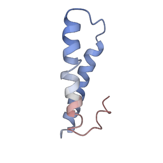 25418_7st2_y_v1-0
Post translocation, non-rotated 70S ribosome with EF-G dissociated (Structure VII)
