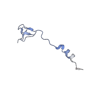 25420_7st6_B_v1-0
Pre translocation, non-rotated 70S ribosome (Structure I)