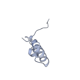 25420_7st6_D_v1-0
Pre translocation, non-rotated 70S ribosome (Structure I)