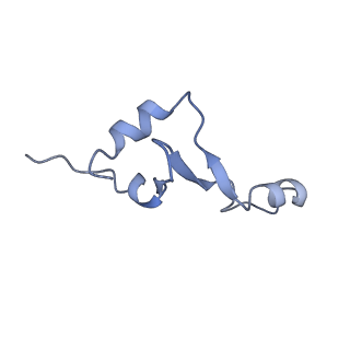 25420_7st6_E_v1-0
Pre translocation, non-rotated 70S ribosome (Structure I)