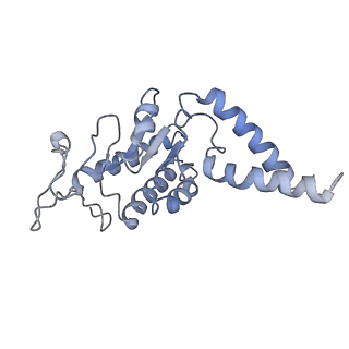 25420_7st6_G_v1-0
Pre translocation, non-rotated 70S ribosome (Structure I)