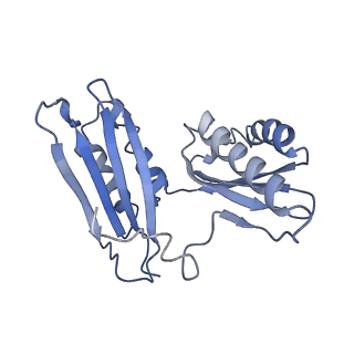 25420_7st6_H_v1-0
Pre translocation, non-rotated 70S ribosome (Structure I)