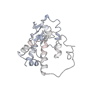 25420_7st6_I_v1-0
Pre translocation, non-rotated 70S ribosome (Structure I)