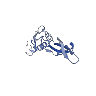 25420_7st6_J_v1-0
Pre translocation, non-rotated 70S ribosome (Structure I)
