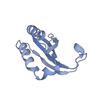 25420_7st6_K_v1-0
Pre translocation, non-rotated 70S ribosome (Structure I)