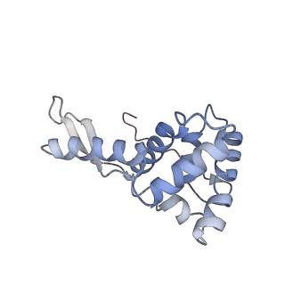 25420_7st6_L_v1-0
Pre translocation, non-rotated 70S ribosome (Structure I)