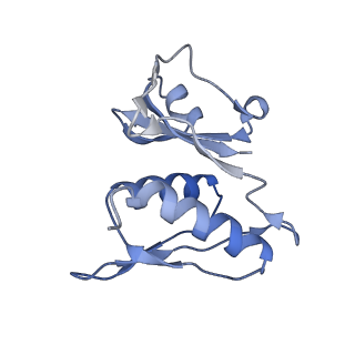 25420_7st6_M_v1-0
Pre translocation, non-rotated 70S ribosome (Structure I)