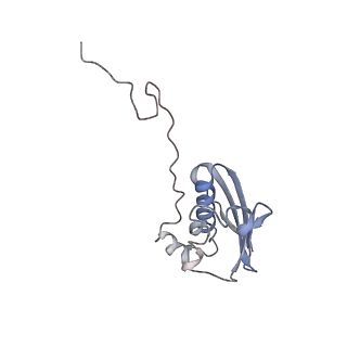 25420_7st6_N_v1-0
Pre translocation, non-rotated 70S ribosome (Structure I)