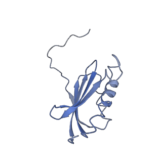 25420_7st6_P_v1-0
Pre translocation, non-rotated 70S ribosome (Structure I)