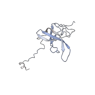 25420_7st6_Q_v1-0
Pre translocation, non-rotated 70S ribosome (Structure I)