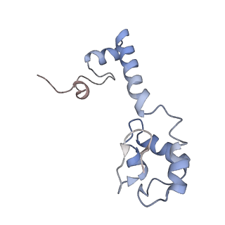 25420_7st6_R_v1-0
Pre translocation, non-rotated 70S ribosome (Structure I)