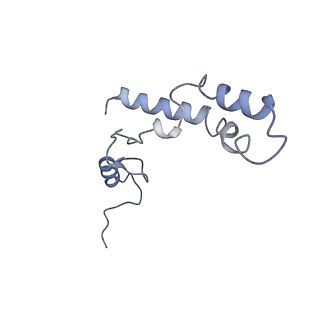 25420_7st6_S_v1-0
Pre translocation, non-rotated 70S ribosome (Structure I)