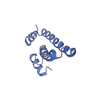 25420_7st6_T_v1-0
Pre translocation, non-rotated 70S ribosome (Structure I)