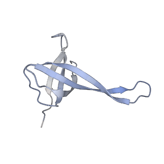 25420_7st6_V_v1-0
Pre translocation, non-rotated 70S ribosome (Structure I)