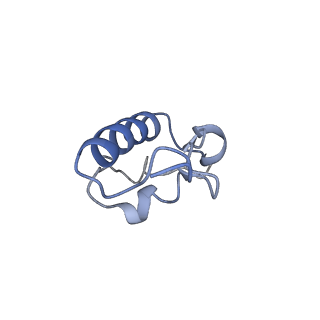 25420_7st6_W_v1-0
Pre translocation, non-rotated 70S ribosome (Structure I)