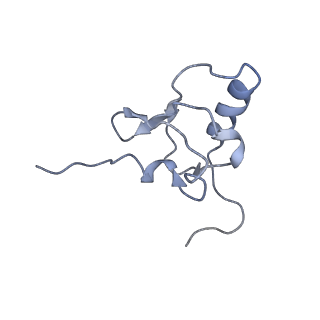 25420_7st6_X_v1-0
Pre translocation, non-rotated 70S ribosome (Structure I)