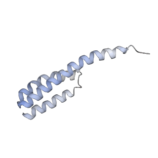 25420_7st6_Y_v1-0
Pre translocation, non-rotated 70S ribosome (Structure I)