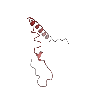 25420_7st6_Z_v1-0
Pre translocation, non-rotated 70S ribosome (Structure I)