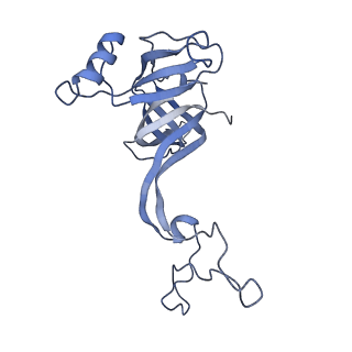 25420_7st6_c_v1-0
Pre translocation, non-rotated 70S ribosome (Structure I)
