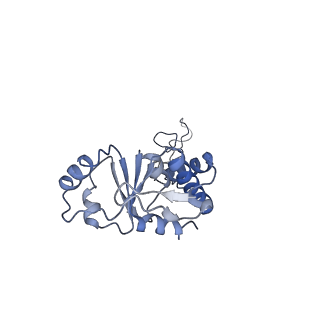 25420_7st6_d_v1-0
Pre translocation, non-rotated 70S ribosome (Structure I)