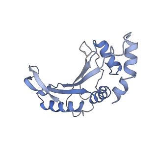 25420_7st6_e_v1-0
Pre translocation, non-rotated 70S ribosome (Structure I)