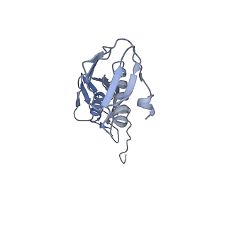 25420_7st6_f_v1-0
Pre translocation, non-rotated 70S ribosome (Structure I)