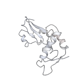 25420_7st6_i_v1-0
Pre translocation, non-rotated 70S ribosome (Structure I)
